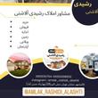 رامین رشیدی آلاشتی